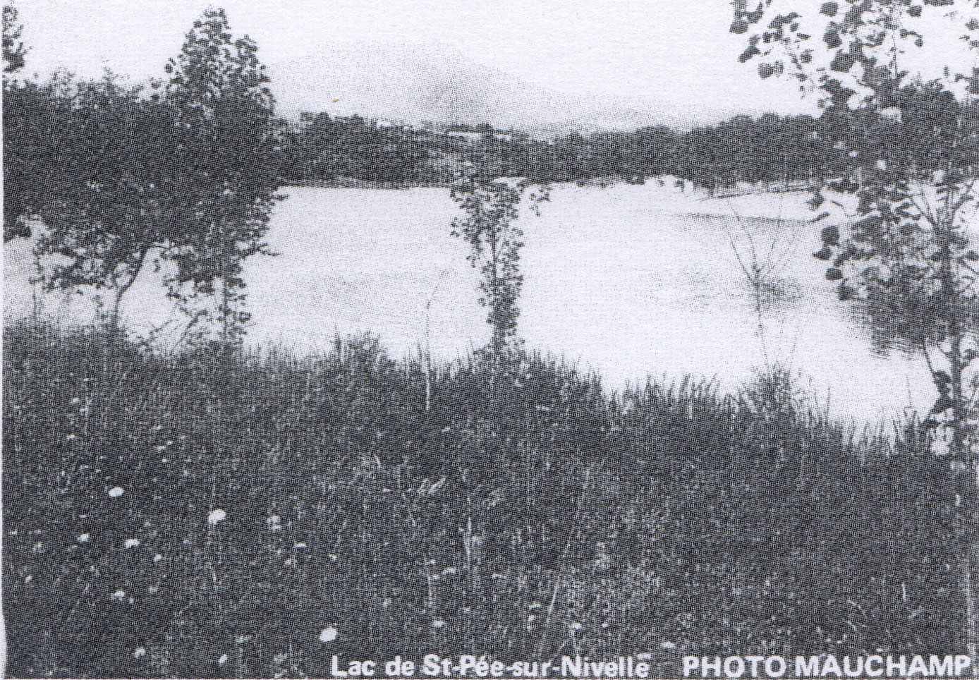  Dans le quartier du lac de Saint-Pée-sur-Nivelle